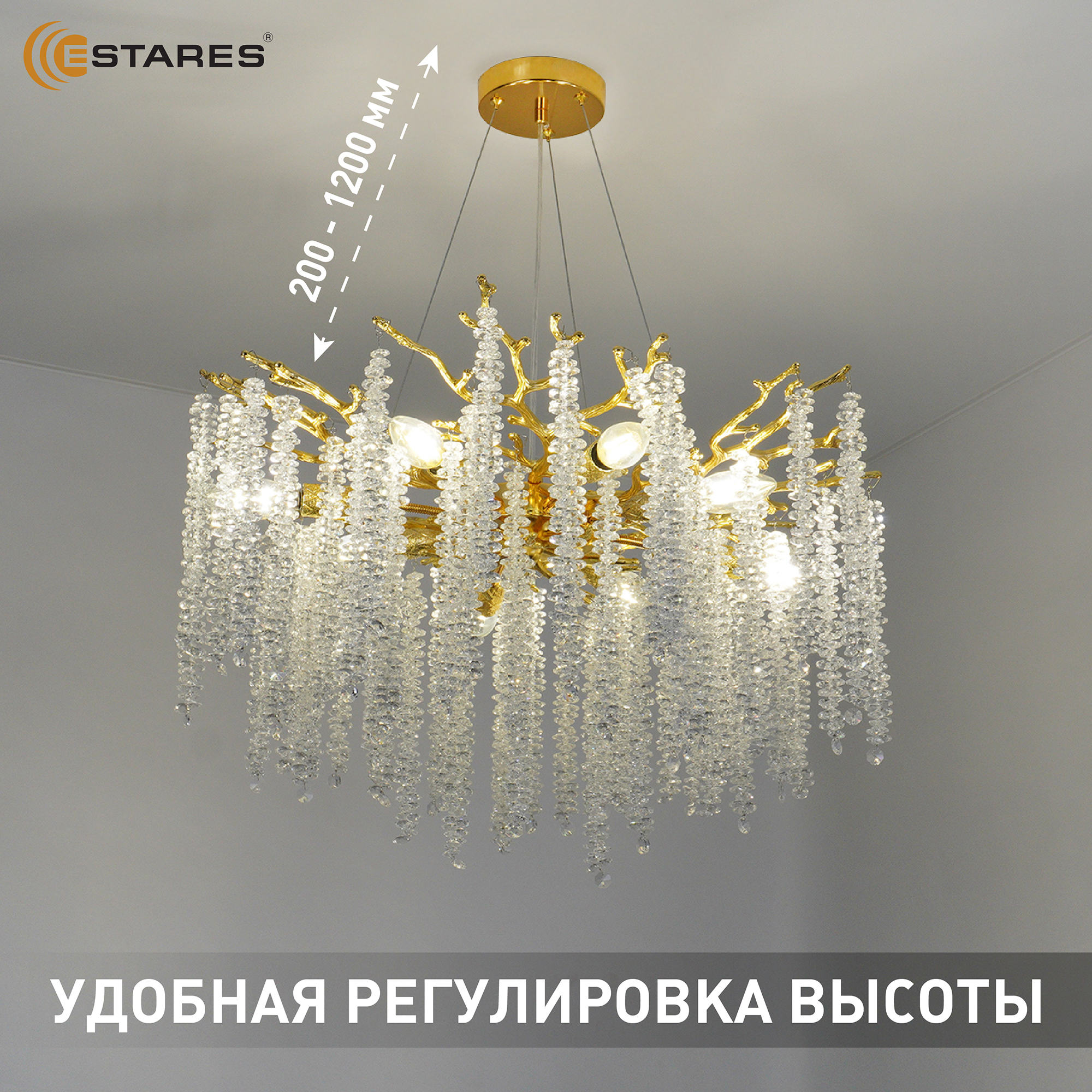 Проверен