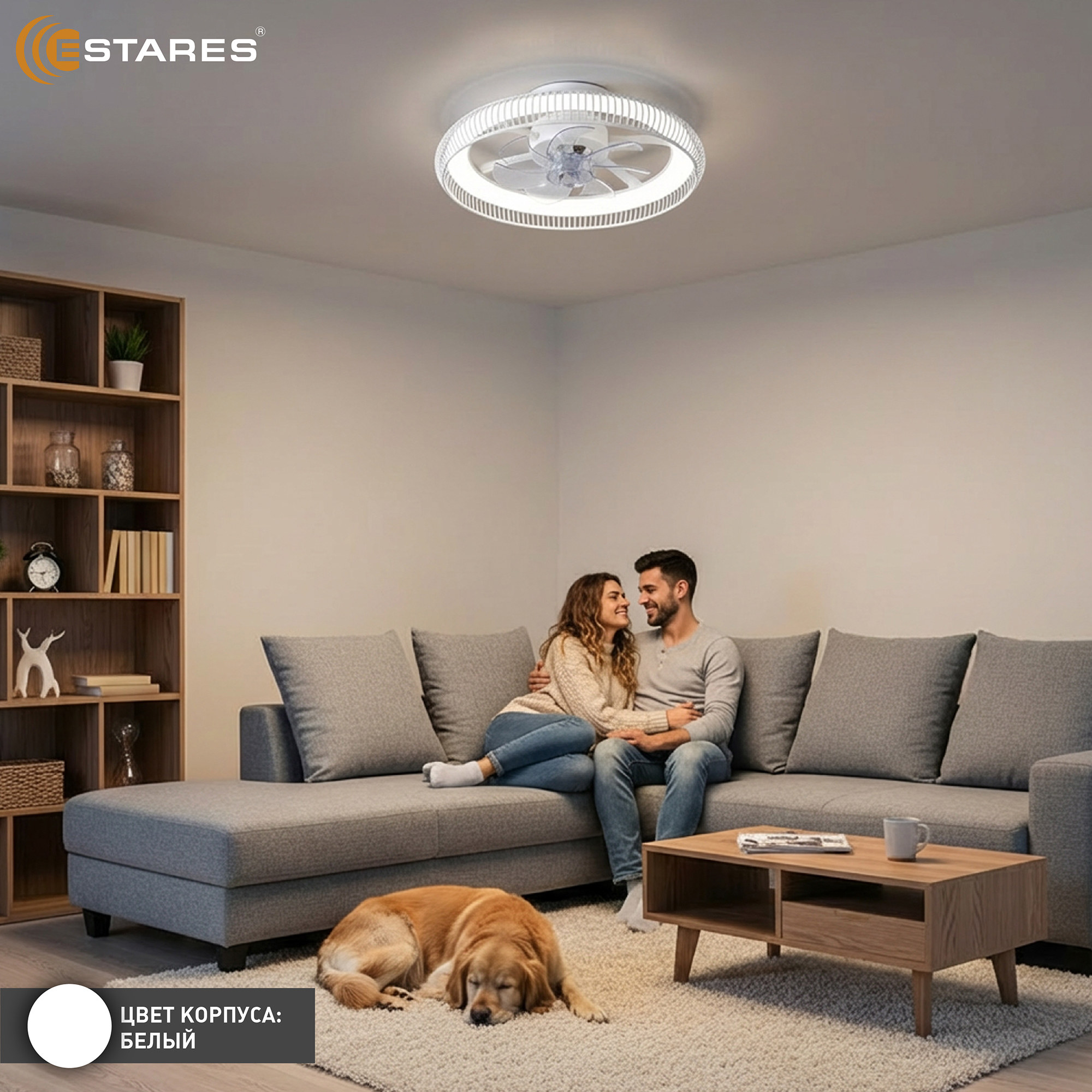 FAN FRAME 45W+15W R-APP-WHITEWHITE Озон 4