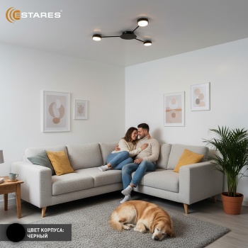 KATE 3xGX53 R-670x40-BLACK Озон 3