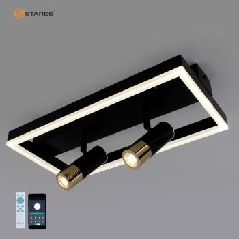 Управляемая светодиодная люстра OMEGA 36W 2DL S-APP-400x200x120-BLACK GOLD WHITE-220-IP20