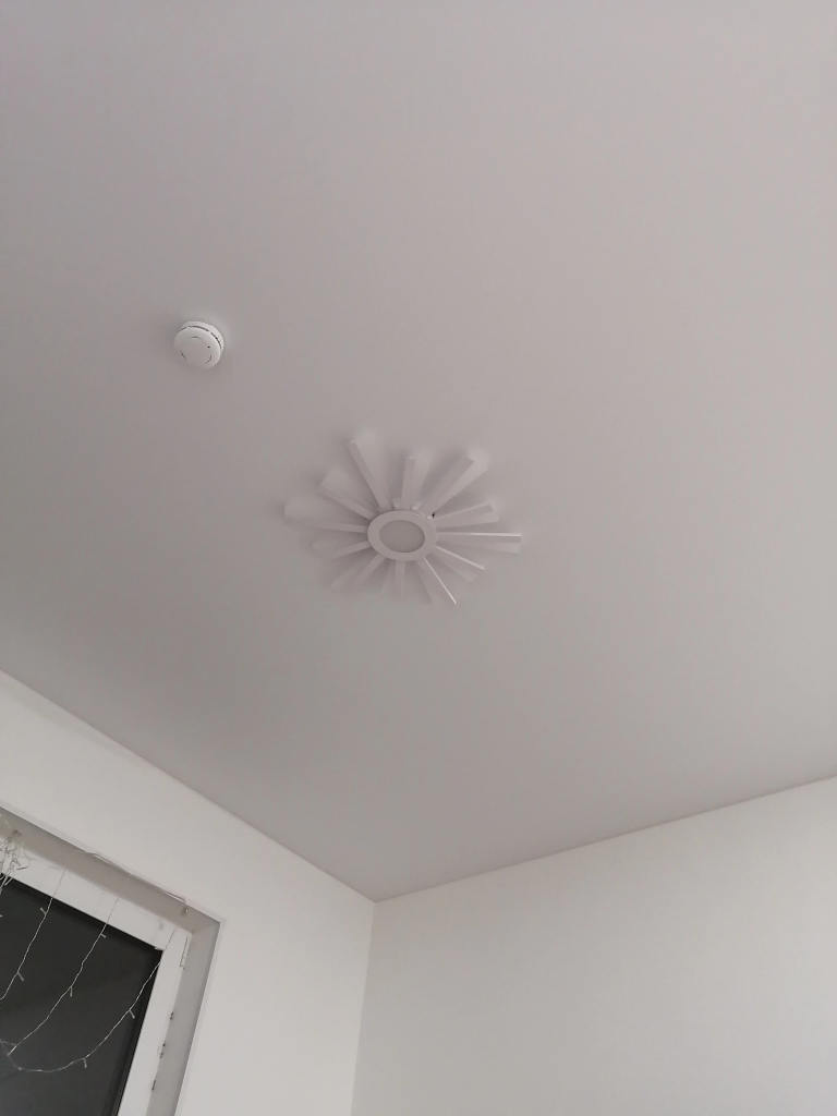 IMG_20250215_191251.jpg IMG_20250215_191251.jpg